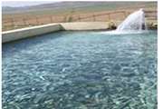 آغاز فاز بهاره طرح ملی مراقبت ملی بیماریهای ویروسی ماهیان قزل آلا در سال 1404